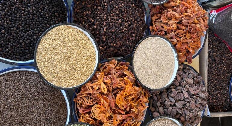 Visite gratuite de la vieille ville de Delhi et du plus grand marché aux épices d'Asie Inde &mdash; #11