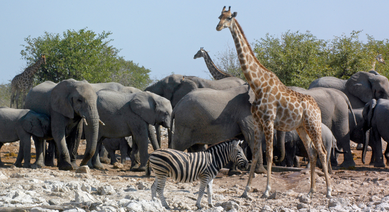 Schwarze Geschichte Ghanas in Accra Ghana — #7