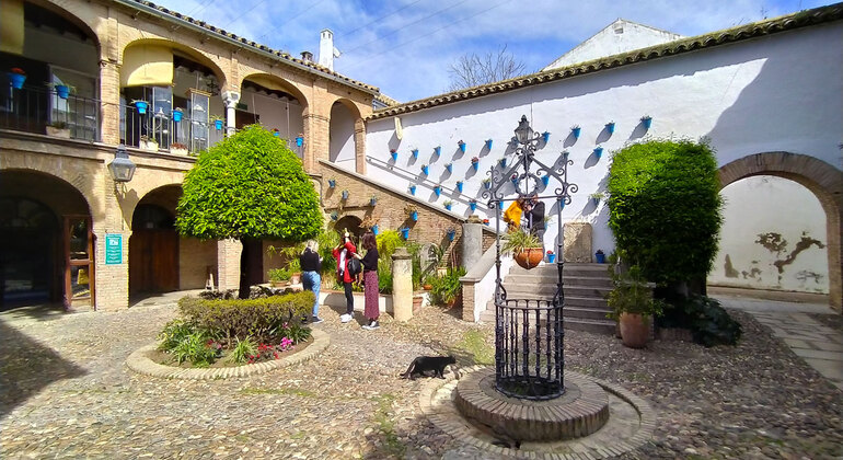 Alcázares + Patios + Judería Tour de Córdoba Operado por Free Spirit