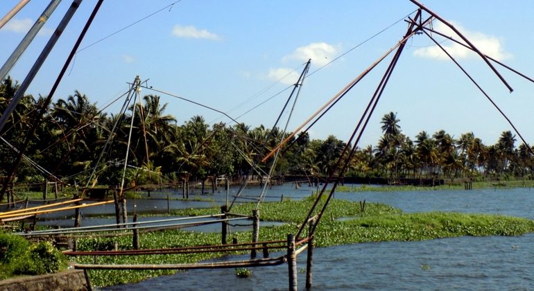 Jewish Heritage of Cochin & Muziris Private Tour Provided by Joyce Xavier