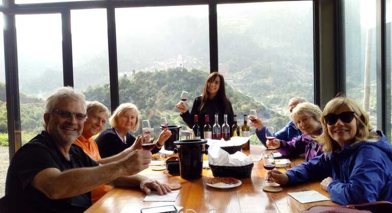 Dégustations de vin de Madère, vignobles et promenade aérienne  Fournie par True Spirit