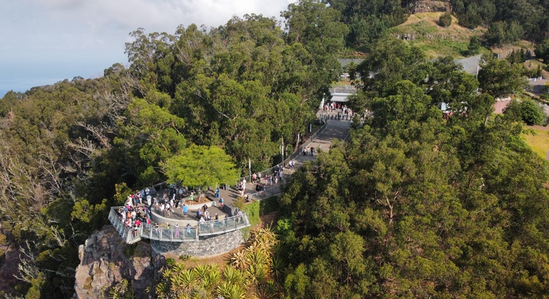 Incrível Skywalk, Cliff & Valleys Tour Organizado por True Spirit