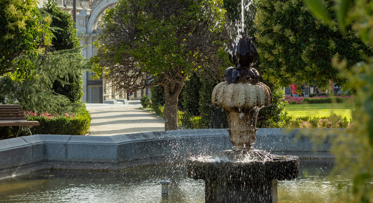 free-tour-por-los-arboles-singulares-del-retiro-es-1