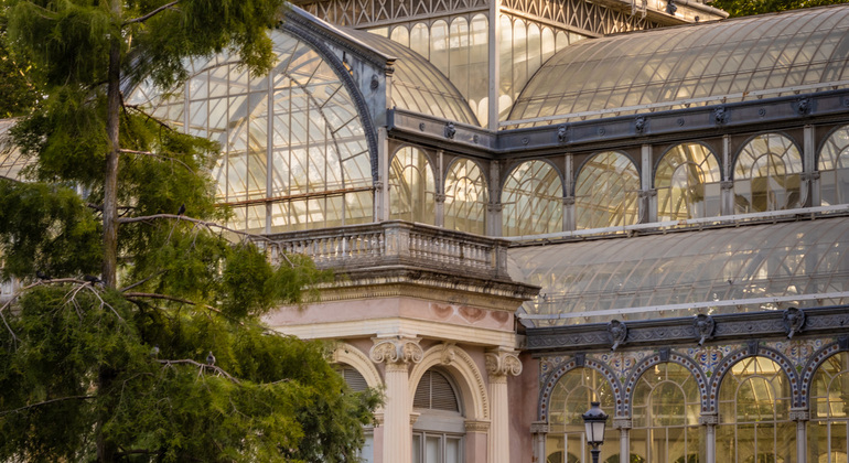 free-tour-por-los-arboles-singulares-del-retiro-es-2