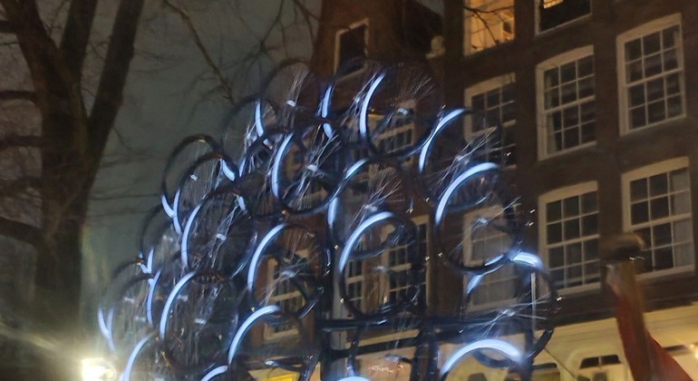 Amsterdam Light Festival Tour Netherlands &mdash; #6