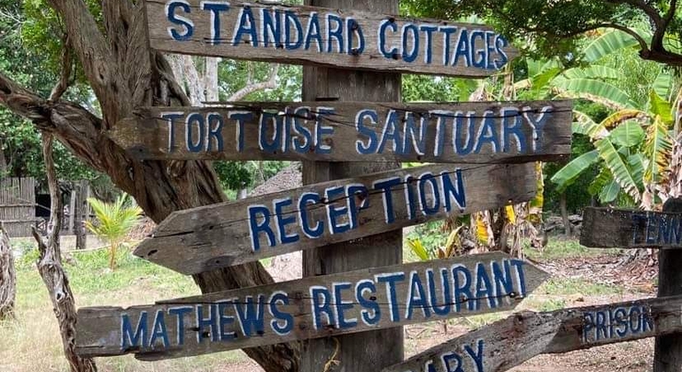 Tour dell'isola della prigione per vedere le tartarughe giganti  Tanzania — #2