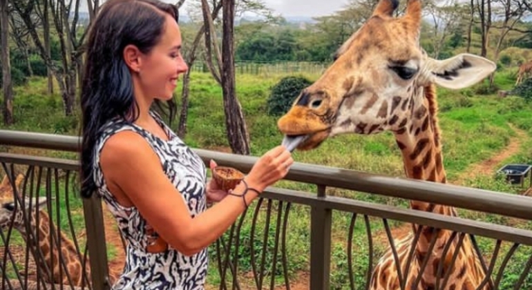 Racconti alti e colli lunghi: Esplorando il Centro Giraffe di Nairobi Fornito da Charo Purity