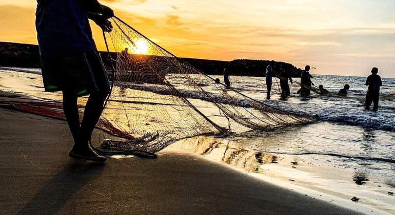 Guida turistica divertente: passeggiate attraverso le mura e la storia Colombia — #5