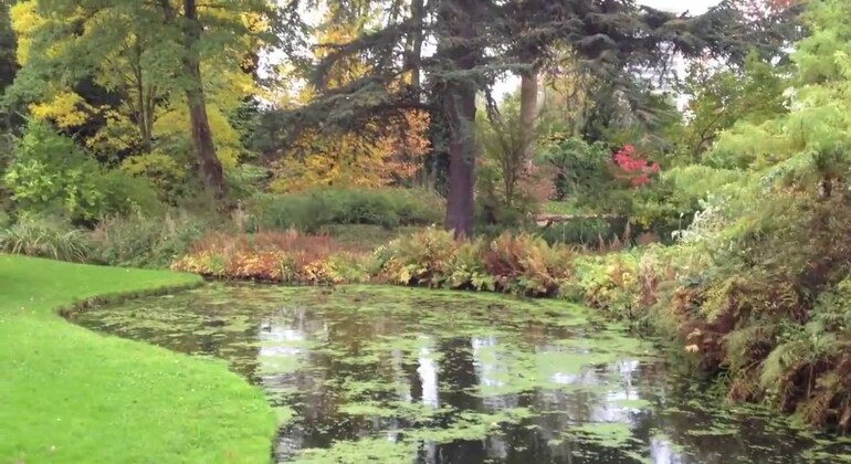 Cactuses & Autumn Colours Arboretum Trompenburg + Hike Old Kralingen Provided by Djamila Benaouda