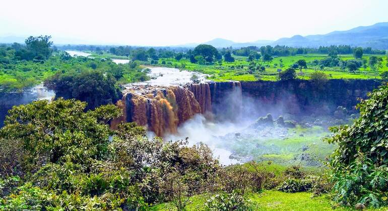 Excursión de un día a Bahir Dar, Nilo Azul y Lago Tana Operado por Haile Demewoz