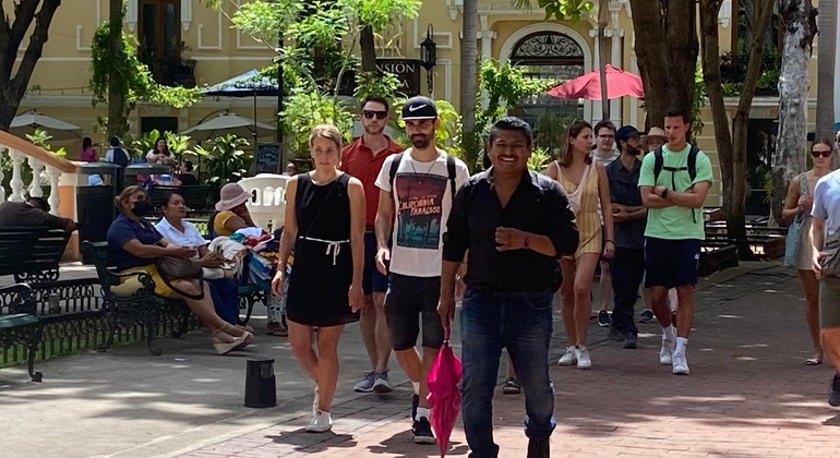 Excursión a Mérida con un guía maya México — #2