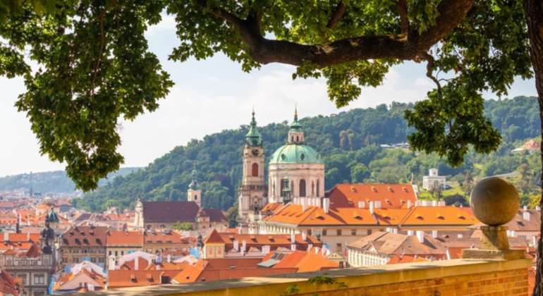 Full day tour of Prague in small groups Provided by Traviatour sro