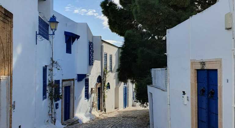 Merveilles bleues et blanches : Visite à pied gratuite de Sidi Bou Said Fournie par Riadh