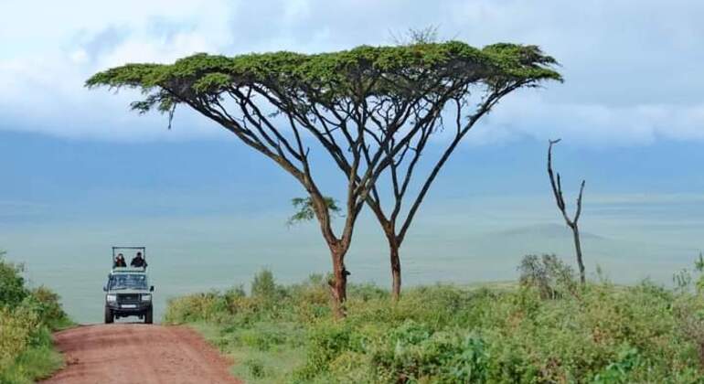 El cráter del Ngorongoro, en Tanzania, la mayor caldera intacta del mundo