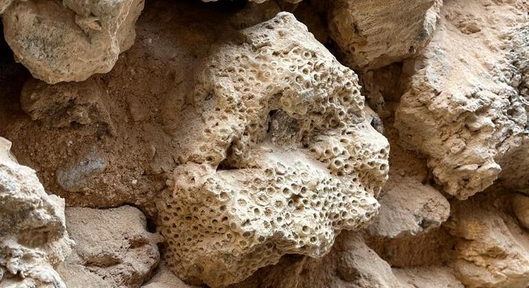 Guia Completo da Cidade de Pedra: Passeio a pé gratuito para pequenos grupos Tanzânia — #11