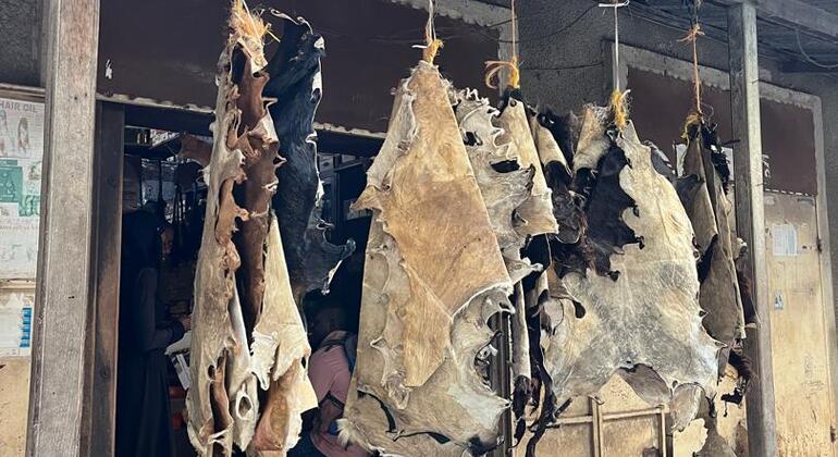 Guia Completo da Cidade de Pedra: Passeio a pé gratuito para pequenos grupos Tanzânia — #13