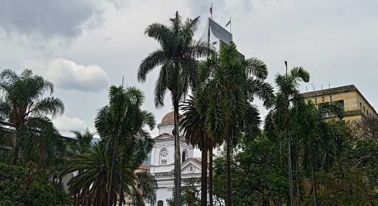 Medellín Free Tour: Stadt voller Leben Kolumbien — #5