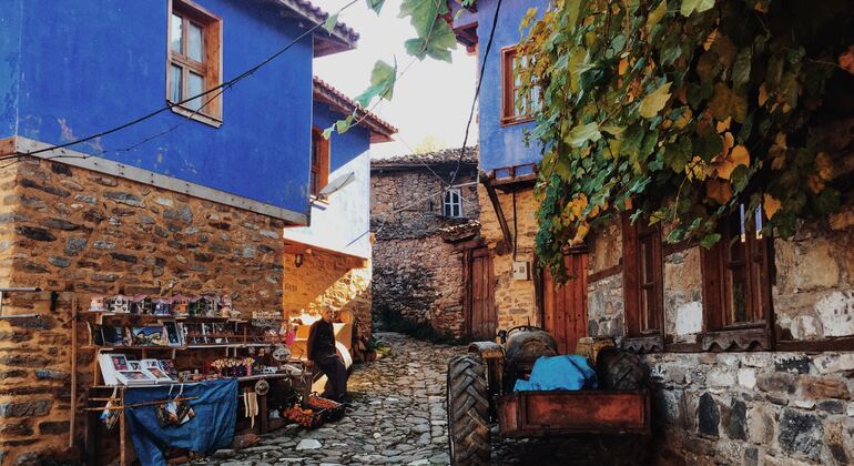 Visite de la ville, de ses lieux historiques et de ses délices culinaires, Turkey