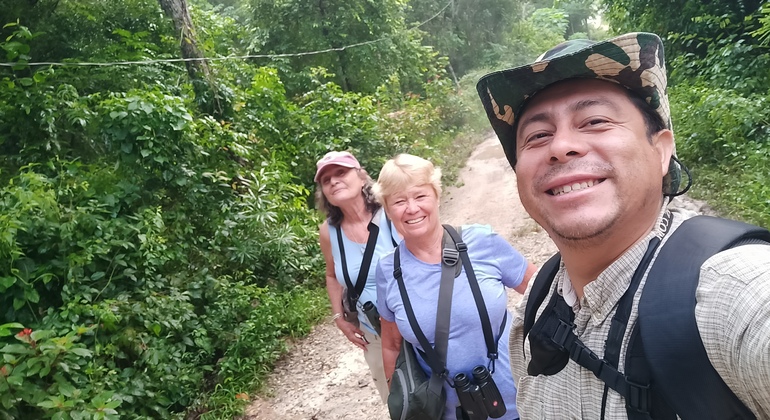 Observation des oiseaux à Cancun Fournie par Carlos tec