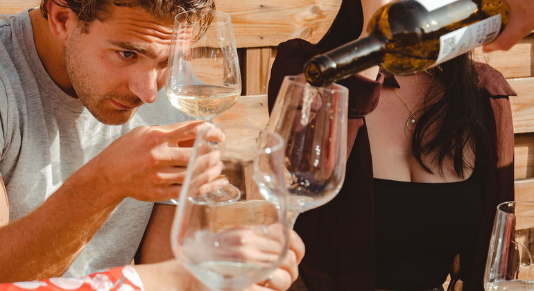 unpretentious-wine-tasting-es-2