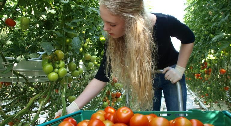 golden-circle-small-group-tour-es-6