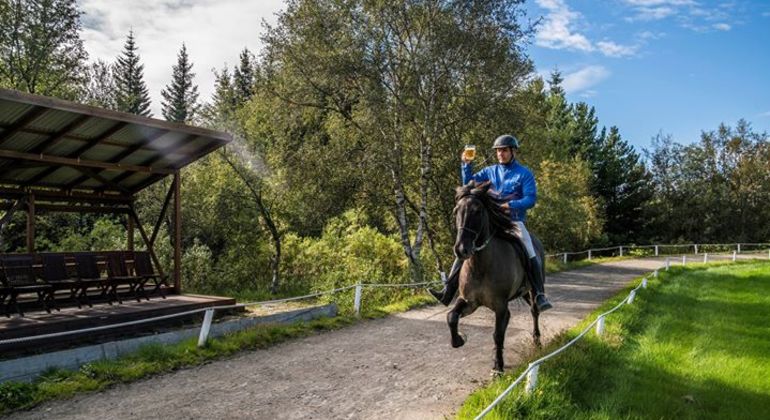 golden-circle-small-group-tour-es-4