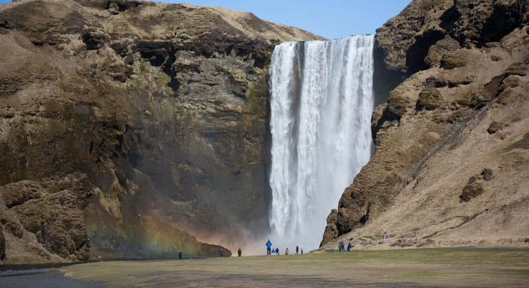 Pequenos grupos no Sul da Islândia Islândia — #4