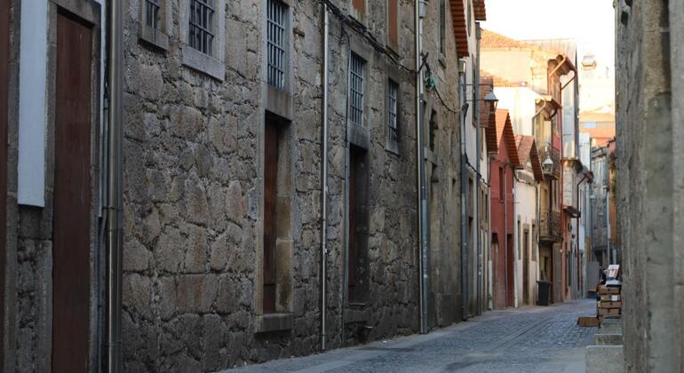 Tour gratuito della storia e della cultura di Porto Portogallo &mdash; #9
