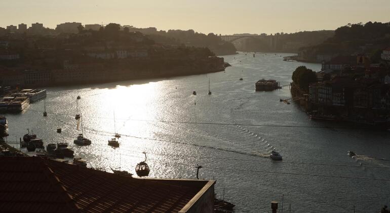 Da Porto a Gaia: tour storico e panoramico Portogallo &mdash; #8