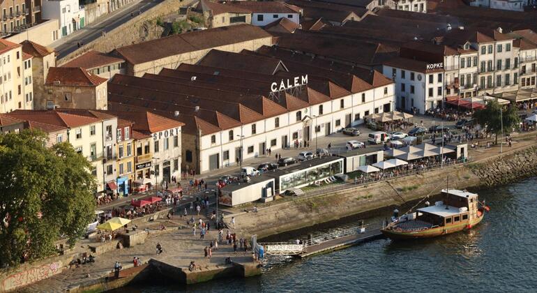 Da Porto a Gaia: tour storico e panoramico Portogallo &mdash; #11