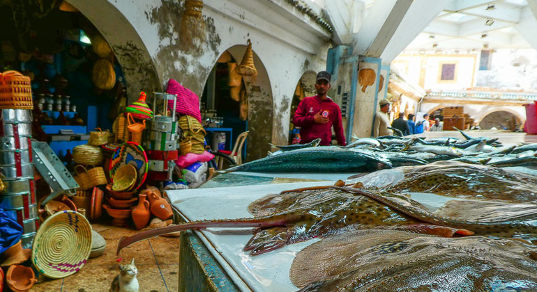 one-day-trip-essaouira-es-4
