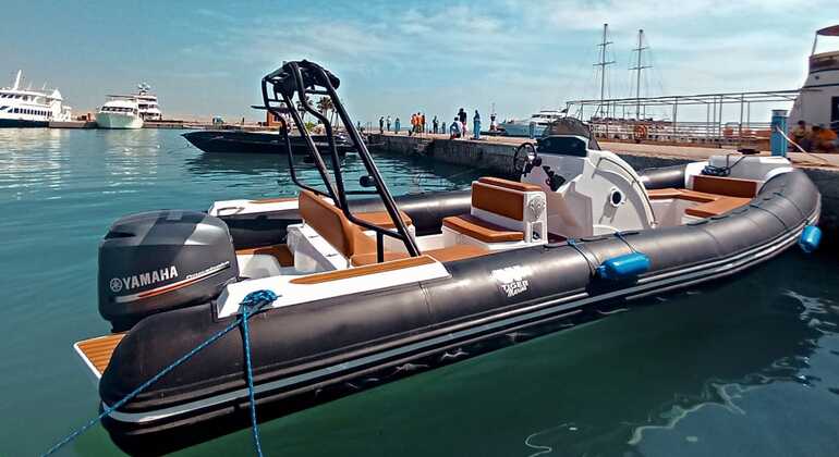 Privates Schnellboot zum Dolphin House Bereitgestellt von Moustafa Mahmoud