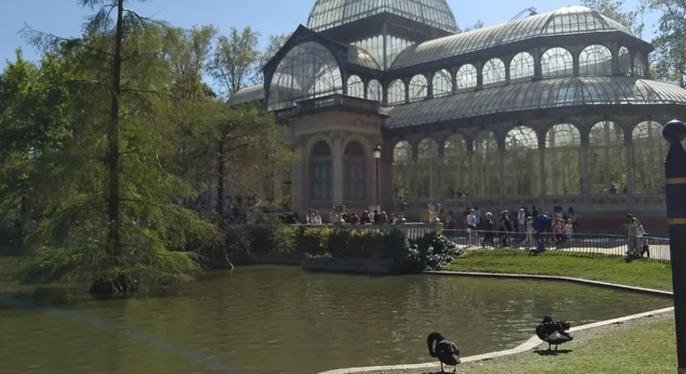 Madrid des Lumières, un point de vue unique Espagne — #3