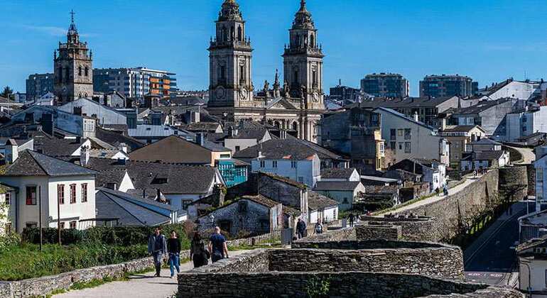 Tour Privado de Comida e Vinho Premium de Dia Inteiro na Galiza a partir do Porto Organizado por Thomas