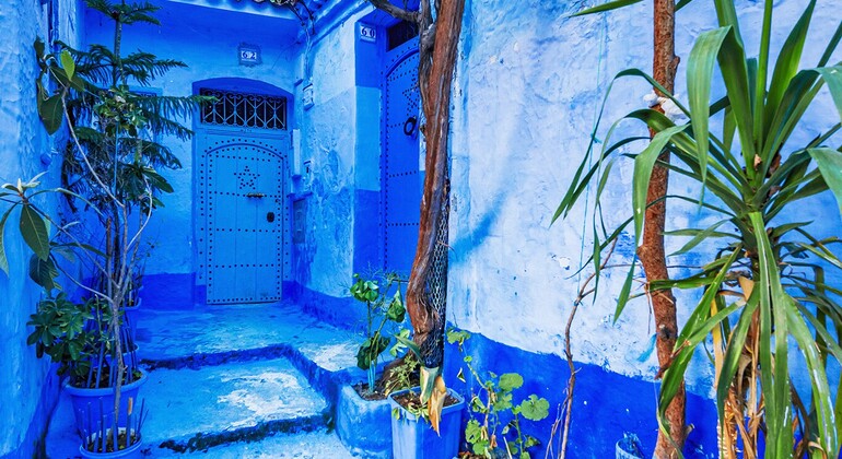 Ein Rundgang durch die Stadt Chefchaouen Bereitgestellt von Tour in Chefchaouen.