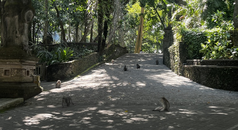 Visita guiada a pé ao centro de Ubud, Indonesia