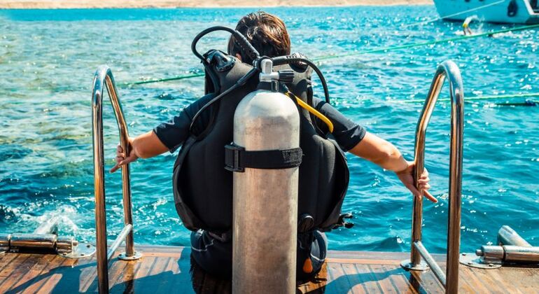 Private Diving Instructor Egypt — #1
