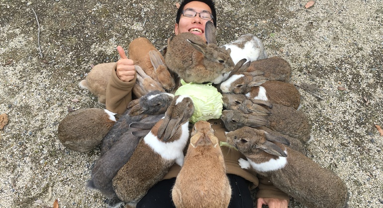 Okunoshima, visite de l'île aux lapins Fournie par Tatsuya