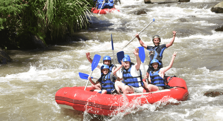 Excursão de Rafting no Rio Ayung em Ubud com Almoço Indonésia — #1