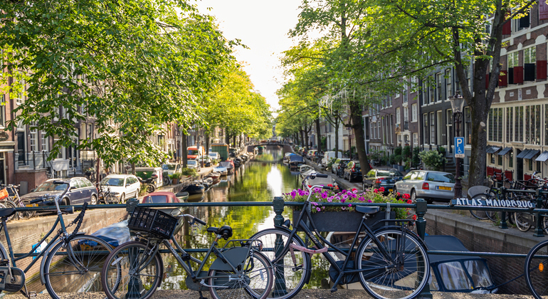 Visite à pied d'Amsterdam pour petits groupes