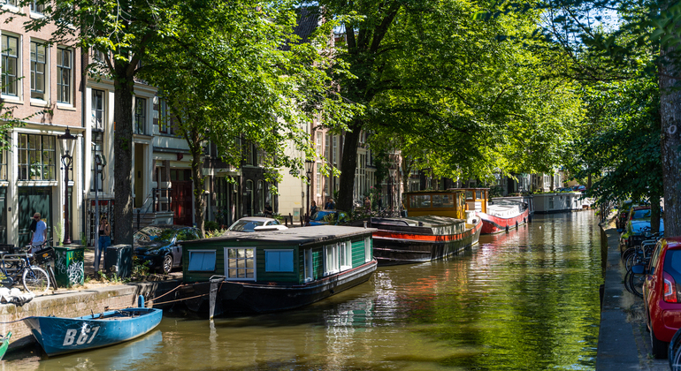 Visita a pie de Ámsterdam + Crucero por el Canal con bebidas y degustación de queso Países Bajos — #9