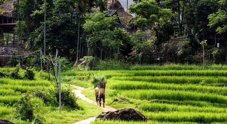 Trekking fora de estrada em Pu Luong Organizado por Alice