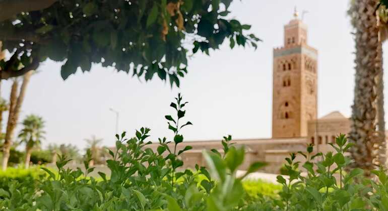 marrakech-private-walking-tour-with-local-guide-es-15