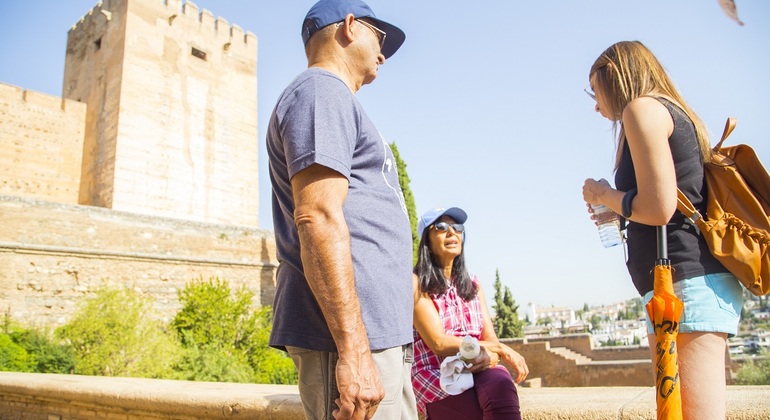 Tour Privado em Granada, Spain