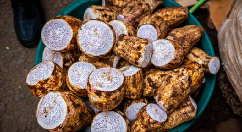 Kostenlose Tour durch die Stadt Arusha Tansania — #4