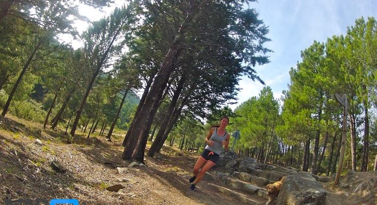 casa-de-campo-running-tour-madrid-es-3