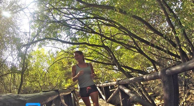 casa-de-campo-running-tour-madrid-es-7