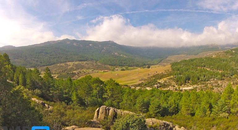 casa-de-campo-running-tour-madrid-es-9