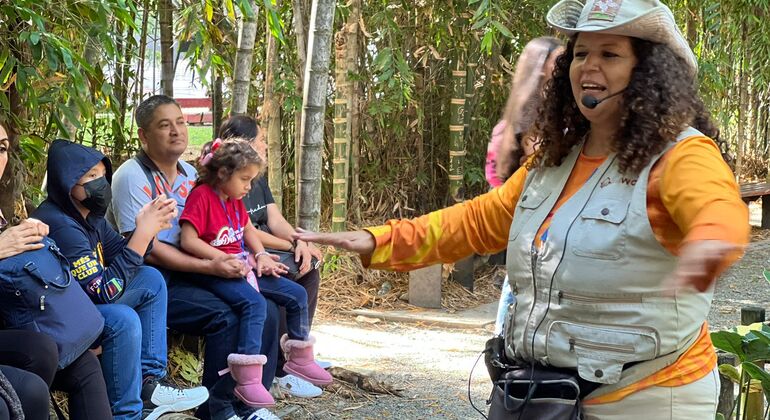 Medellín: Amor a Primera Vista, Historia de Su Transformación Social Colombia — #5