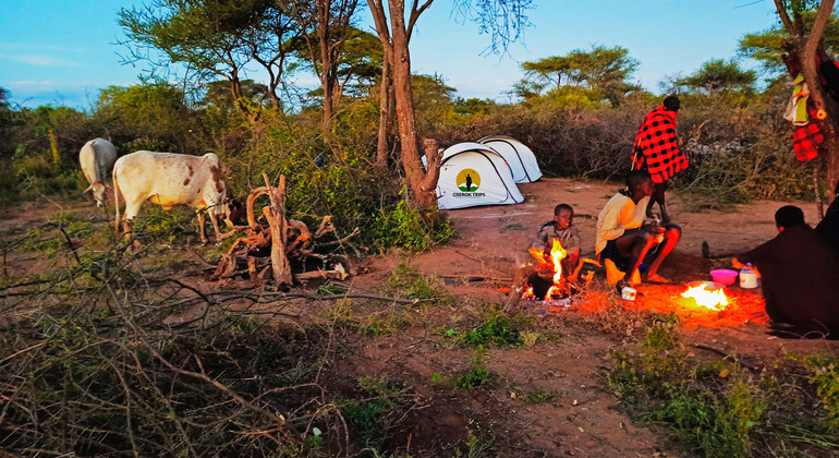 Acampada en una auténtica aldea masai Operado por Oserok Trips
